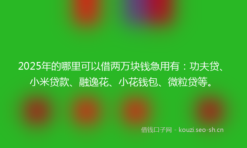 2025年的哪里可以借两万块钱急用有：功夫贷、小米贷款、融逸花、小花钱包、微粒贷等。