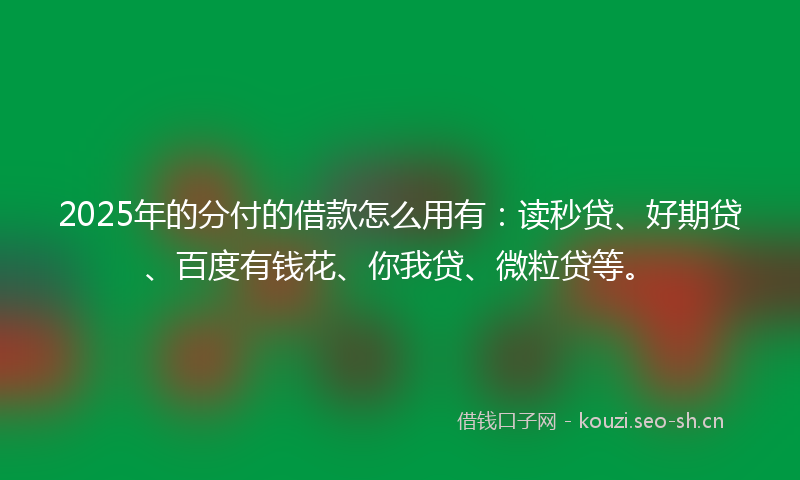 2025年的分付的借款怎么用有：读秒贷、好期贷、百度有钱花、你我贷、微粒贷等。