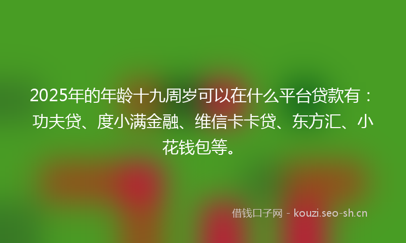 2025年的年龄十九周岁可以在什么平台贷款有：功夫贷、度小满金融、维信卡卡贷、东方汇、小花钱包等。