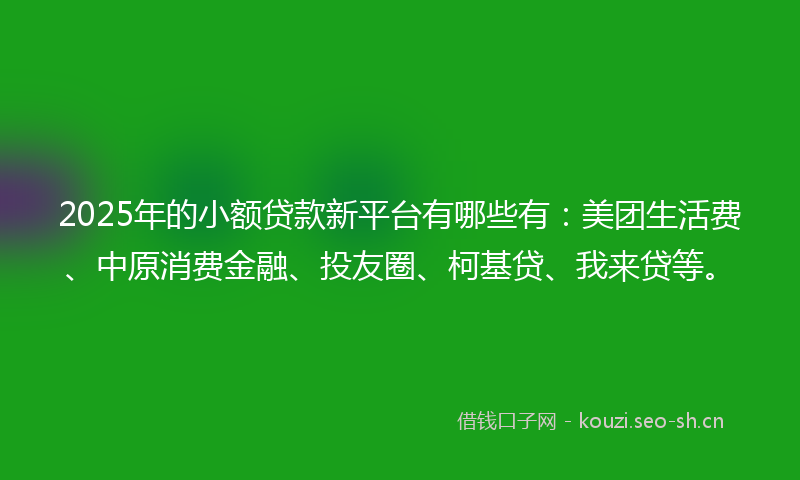 2025年的小额贷款新平台有哪些有：美团生活费、中原消费金融、投友圈、柯基贷、我来贷等。