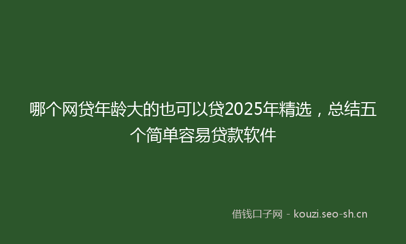哪个网贷年龄大的也可以贷2025年精选，总结五个简单容易贷款软件