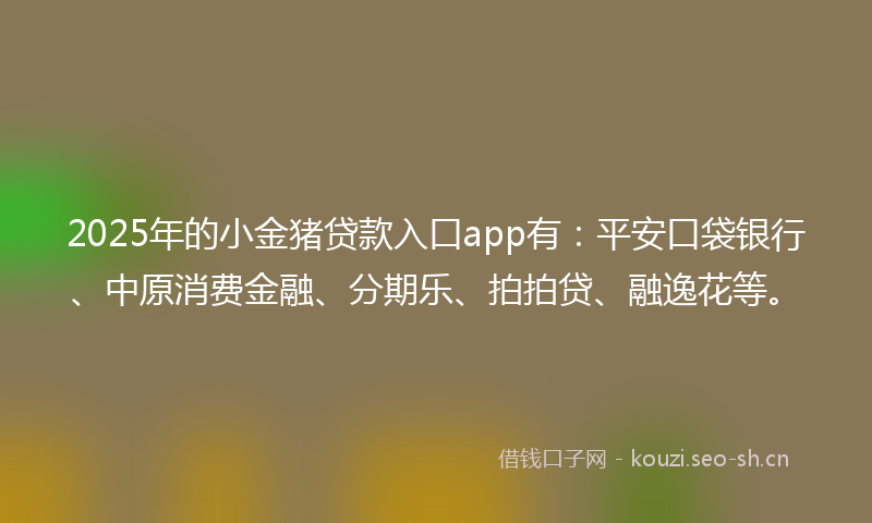 2025年的小金猪贷款入口app有：平安口袋银行、中原消费金融、分期乐、拍拍贷、融逸花等。