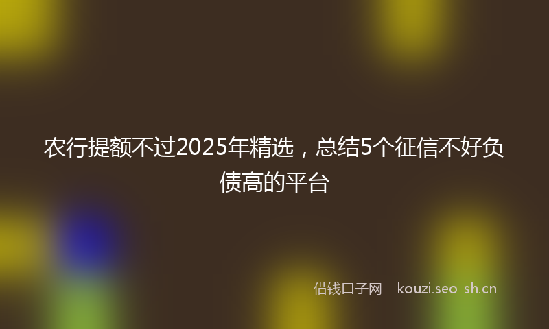 农行提额不过2025年精选，总结5个征信不好负债高的平台