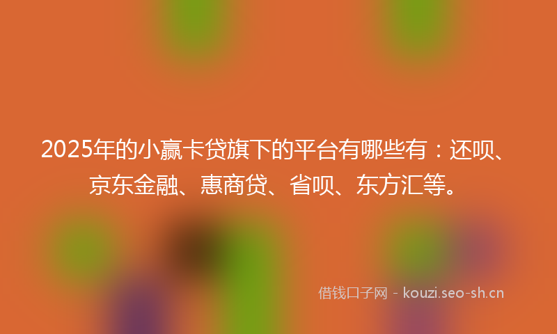 2025年的小赢卡贷旗下的平台有哪些有：还呗、京东金融、惠商贷、省呗、东方汇等。