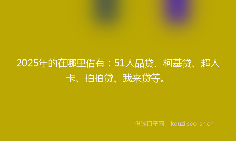 2025年的在哪里借有：51人品贷、柯基贷、超人卡、拍拍贷、我来贷等。