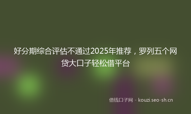 好分期综合评估不通过2025年推荐，罗列五个网贷大口子轻松借平台