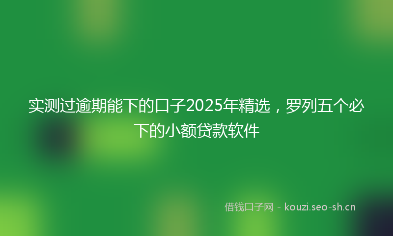 实测过逾期能下的口子2025年精选，罗列五个必下的小额贷款软件
