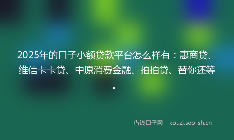 2025年的口子小额贷款平台怎么样有：惠商贷、维信卡卡贷、中原消费金融、拍拍贷、替你还等。