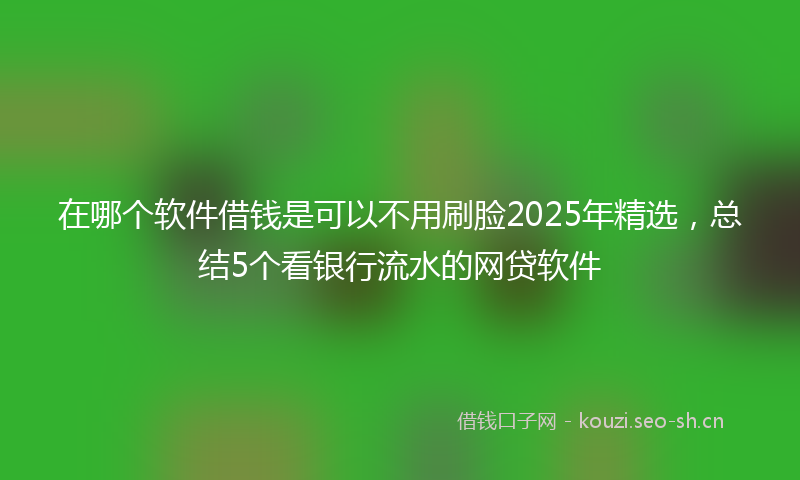 在哪个软件借钱是可以不用刷脸2025年精选，总结5个看银行流水的网贷软件