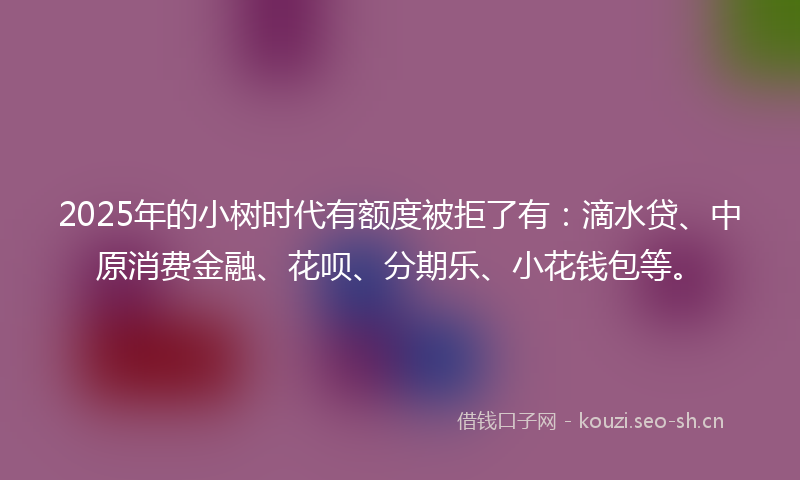 2025年的小树时代有额度被拒了有：滴水贷、中原消费金融、花呗、分期乐、小花钱包等。
