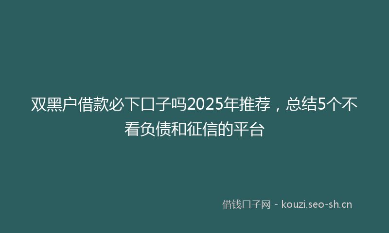 双黑户借款必下口子吗2025年推荐，总结5个不看负债和征信的平台