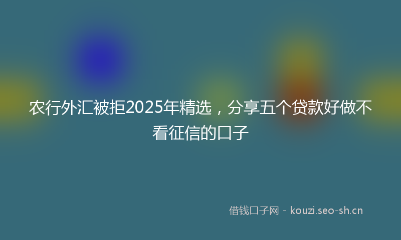 农行外汇被拒2025年精选，分享五个贷款好做不看征信的口子