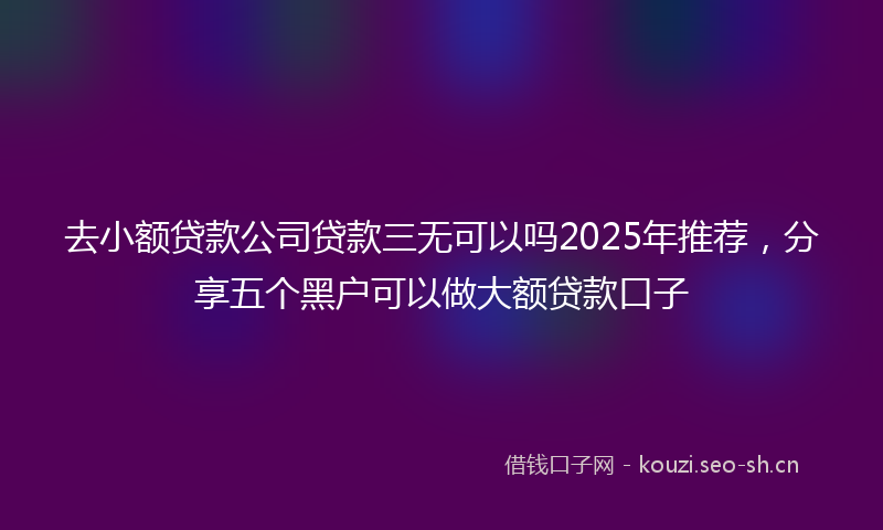 去小额贷款公司贷款三无可以吗2025年推荐，分享五个黑户可以做大额贷款口子