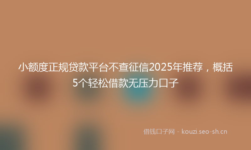 小额度正规贷款平台不查征信2025年推荐，概括5个轻松借款无压力口子