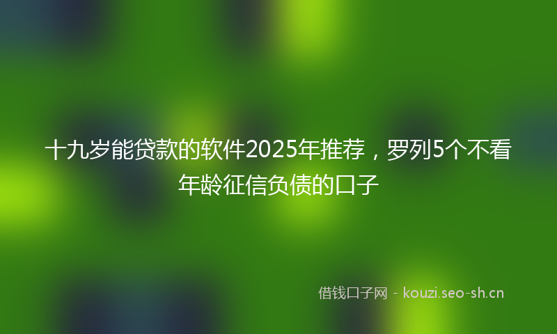十九岁能贷款的软件2025年推荐,罗列5个不看年龄征信负债的口子