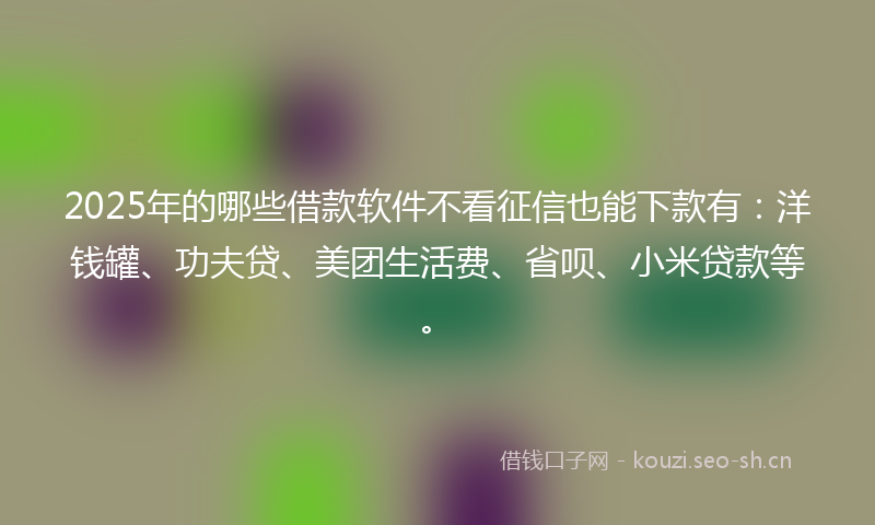 2025年的哪些借款软件不看征信也能下款有：洋钱罐、功夫贷、美团生活费、省呗、小米贷款等。