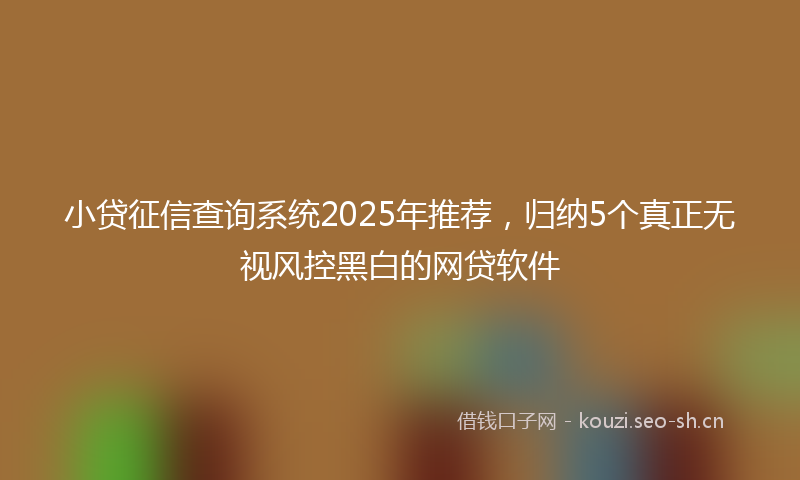 小贷征信查询系统2025年推荐，归纳5个真正无视风控黑白的网贷软件