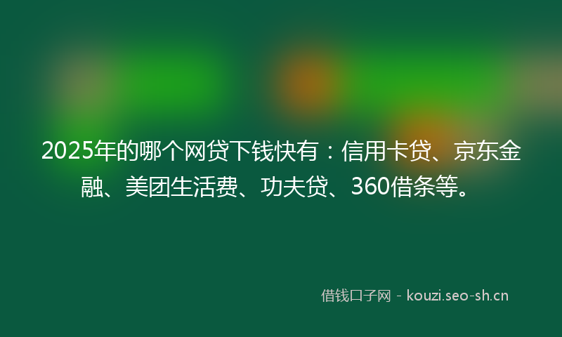 2025年的哪个网贷下钱快有：信用卡贷、京东金融、美团生活费、功夫贷、360借条等。
