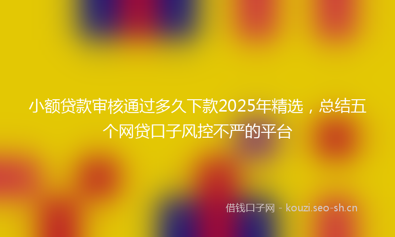 小额贷款审核通过多久下款2025年精选，总结五个网贷口子风控不严的平台
