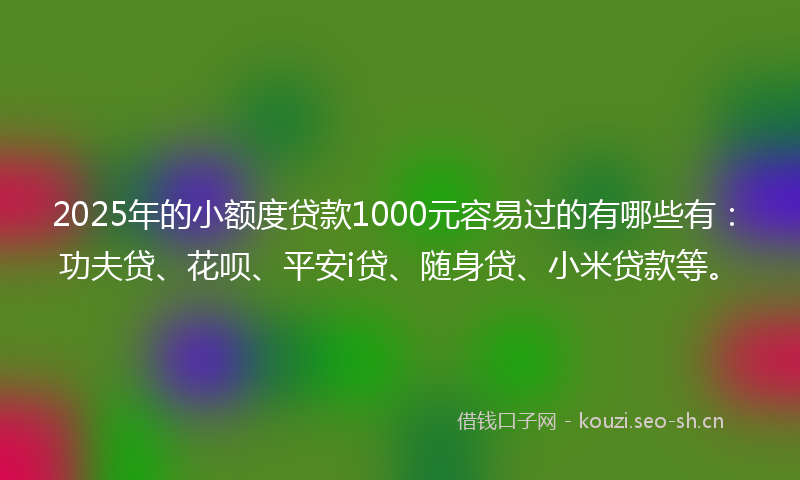 2025年的小额度贷款1000元容易过的有哪些有：功夫贷、花呗、平安i贷、随身贷、小米贷款等。