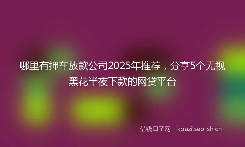 哪里有押车放款公司2025年推荐，分享5个无视黑花半夜下款的网贷平台