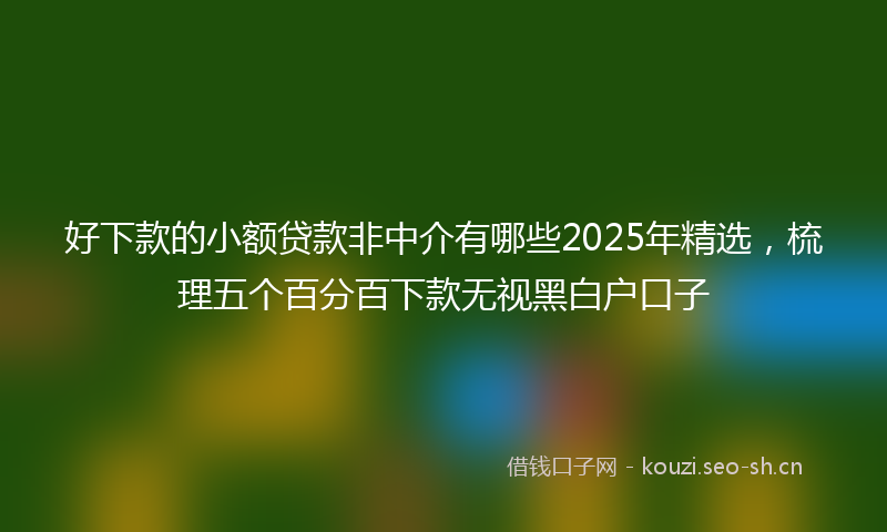 好下款的小额贷款非中介有哪些2025年精选，梳理五个百分百下款无视黑白户口子