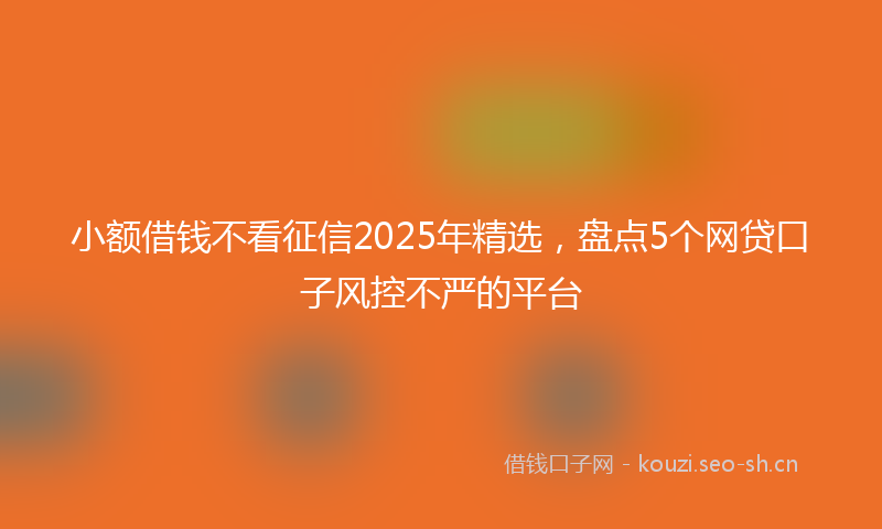 小额借钱不看征信2025年精选，盘点5个网贷口子风控不严的平台