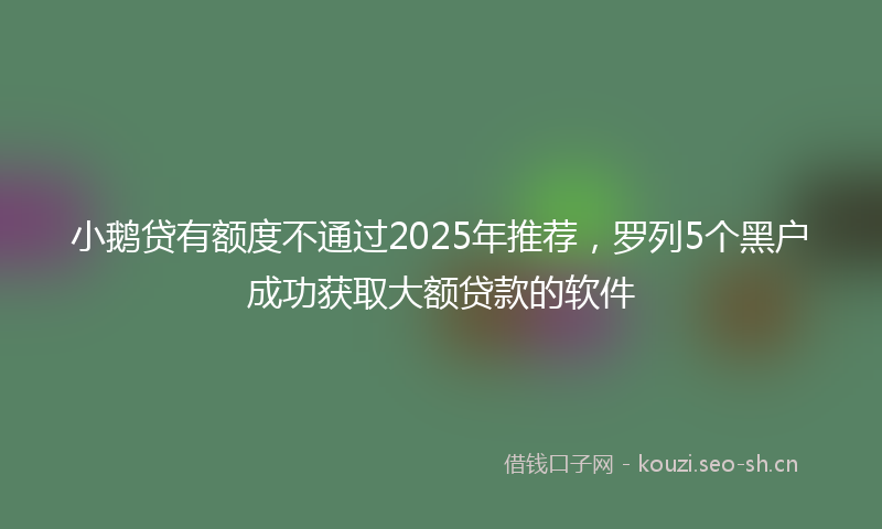 小鹅贷有额度不通过2025年推荐，罗列5个黑户成功获取大额贷款的软件