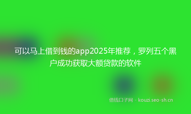 可以马上借到钱的app2025年推荐,罗列五个黑户成功获取大额贷款的软件