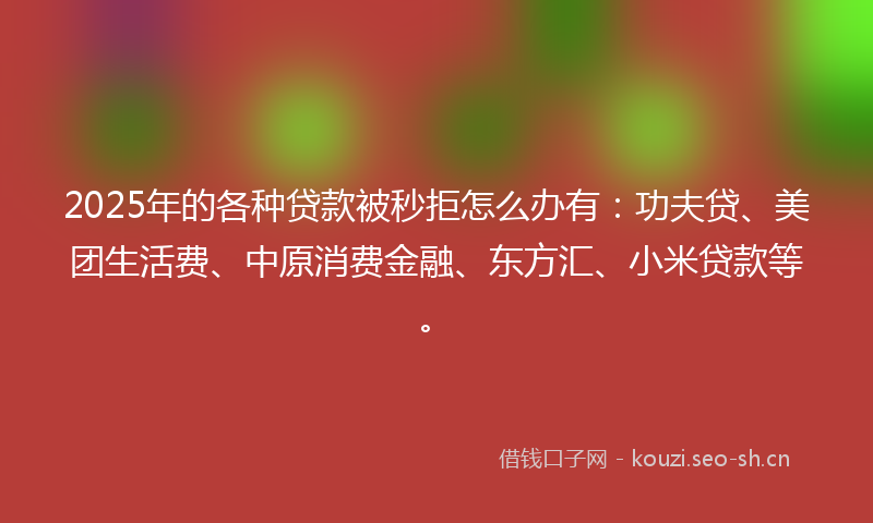 2025年的各种贷款被秒拒怎么办有：功夫贷、美团生活费、中原消费金融、东方汇、小米贷款等。