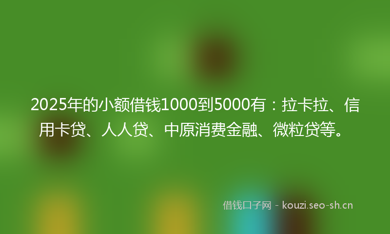 2025年的小额借钱1000到5000有：拉卡拉、信用卡贷、人人贷、中原消费金融、微粒贷等。