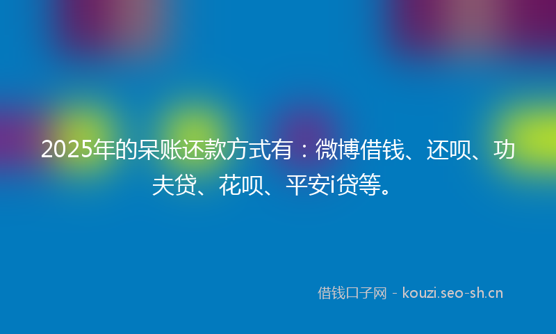 2025年的呆账还款方式有：微博借钱、还呗、功夫贷、花呗、平安i贷等。