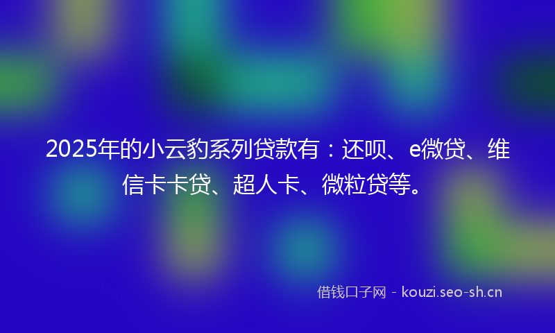 2025年的小云豹系列贷款有：还呗、e微贷、维信卡卡贷、超人卡、微粒贷等。