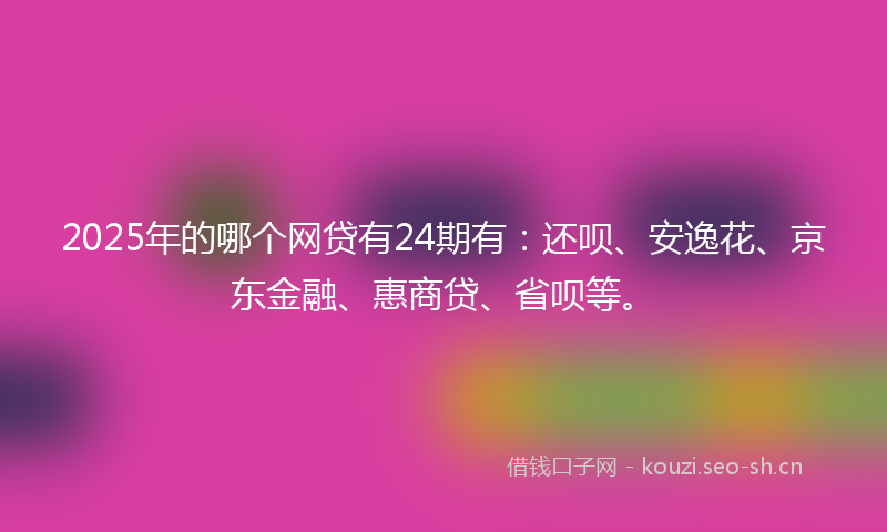 2025年的哪个网贷有24期有：还呗、安逸花、京东金融、惠商贷、省呗等。