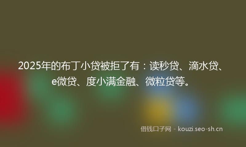 2025年的布丁小贷被拒了有：读秒贷、滴水贷、e微贷、度小满金融、微粒贷等。
