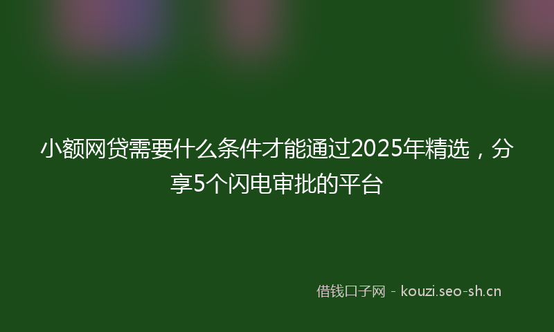 小额网贷需要什么条件才能通过2025年精选，分享5个闪电审批的平台