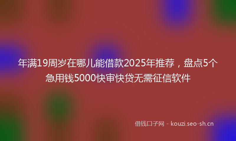 年满19周岁在哪儿能借款2025年推荐，盘点5个急用钱5000快审快贷无需征信软件
