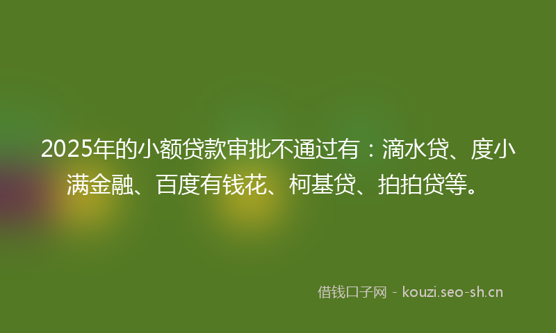 2025年的小额贷款审批不通过有：滴水贷、度小满金融、百度有钱花、柯基贷、拍拍贷等。