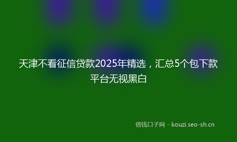 天津不看征信贷款2025年精选，汇总5个包下款平台无视黑白