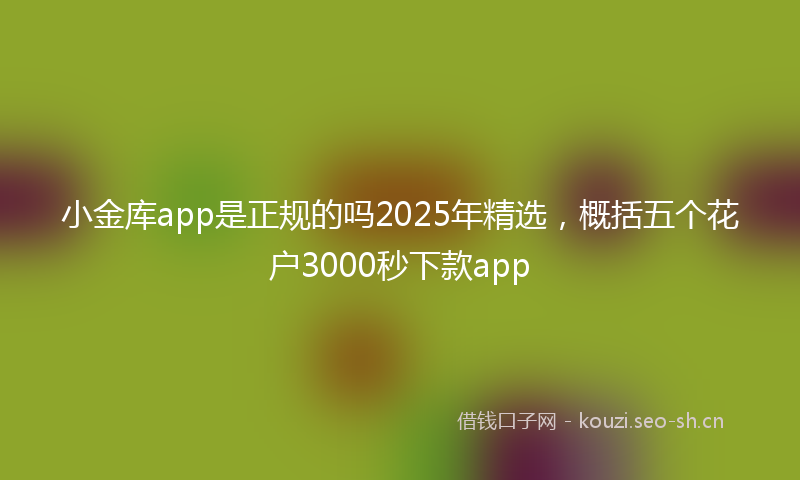 小金库app是正规的吗2025年精选，概括五个花户3000秒下款app
