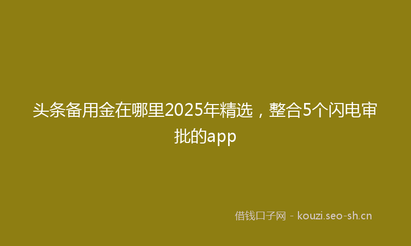 头条备用金在哪里2025年精选，整合5个闪电审批的app