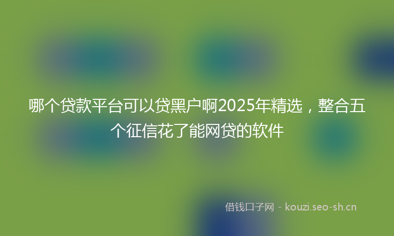 哪个贷款平台可以贷黑户啊2025年精选，整合五个征信花了能网贷的软件