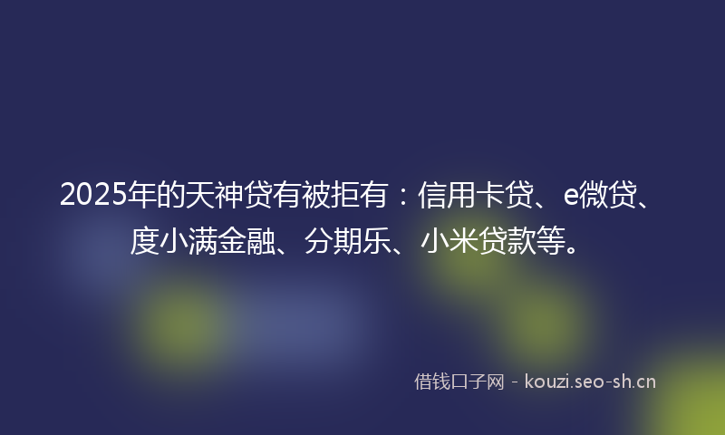 2025年的天神贷有被拒有：信用卡贷、e微贷、度小满金融、分期乐、小米贷款等。