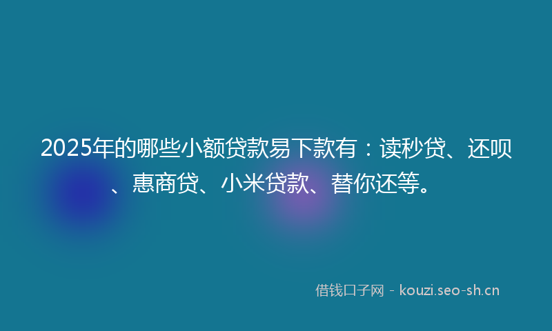 2025年的哪些小额贷款易下款有：读秒贷、还呗、惠商贷、小米贷款、替你还等。