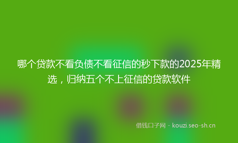 哪个贷款不看负债不看征信的秒下款的2025年精选，归纳五个不上征信的贷款软件
