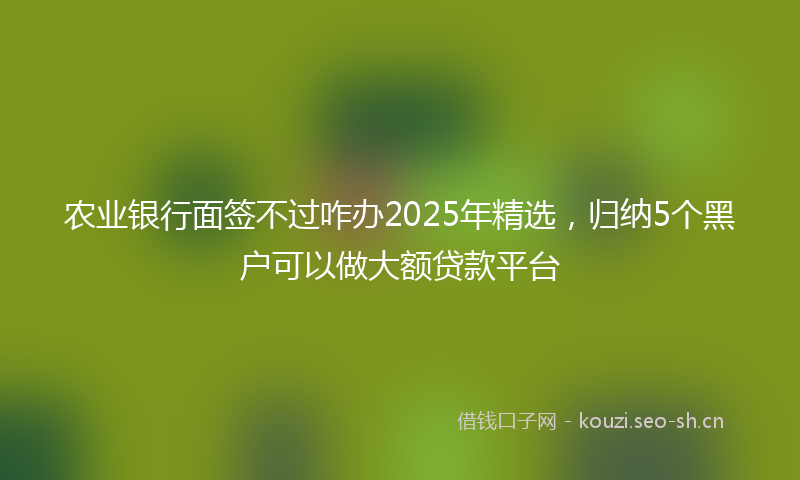 农业银行面签不过咋办2025年精选，归纳5个黑户可以做大额贷款平台