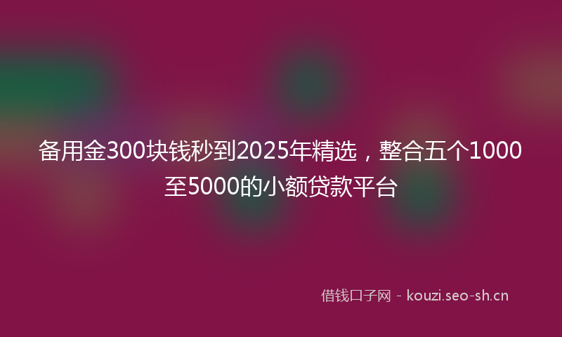 备用金300块钱秒到2025年精选，整合五个1000至5000的小额贷款平台