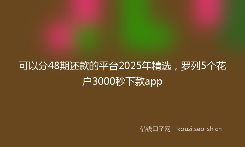 可以分48期还款的平台2025年精选，罗列5个花户3000秒下款app