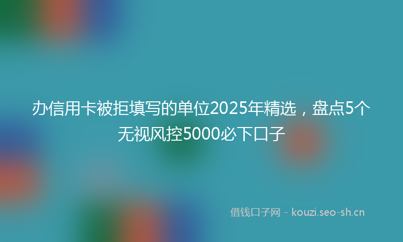 办信用卡被拒填写的单位2025年精选，盘点5个无视风控5000必下口子