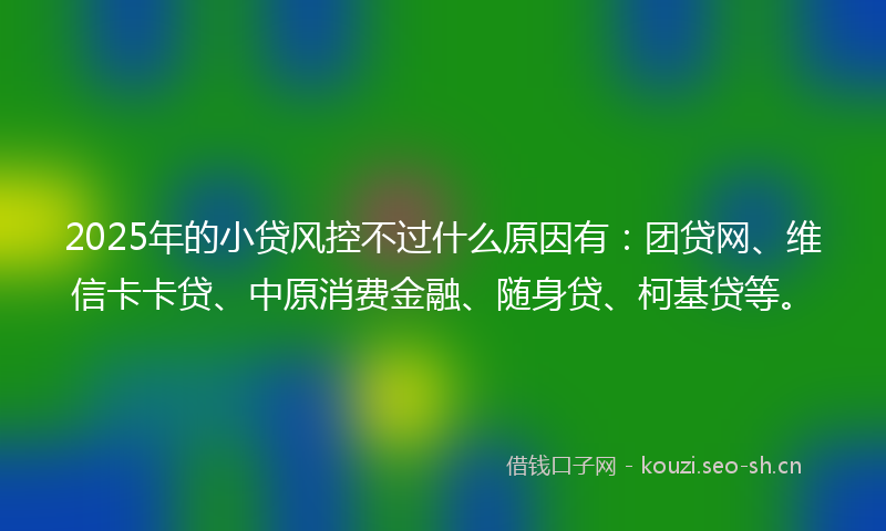 2025年的小贷风控不过什么原因有：团贷网、维信卡卡贷、中原消费金融、随身贷、柯基贷等。